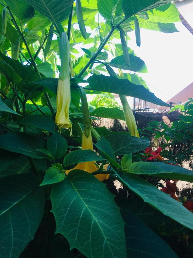 Casa De Aurora Accommodatie bij particulieren Rubí